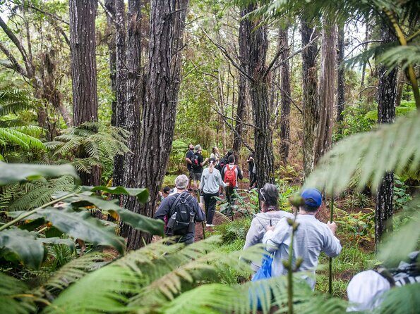 Kona Cloud Forest Sanctuary Pantropical Tour (1.5 hrs) - Exploring the Itinerary in Detail