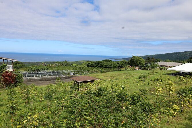 Kona Coffee Farm Tour from Tree to Tasting Room - Who Should Consider This Tour