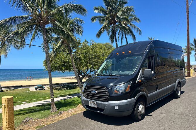 Kona Cruise Ship Excursion Hapuna Beach Day, Petroglyphs & NHS - An In-Depth Look at the Tour Itinerary