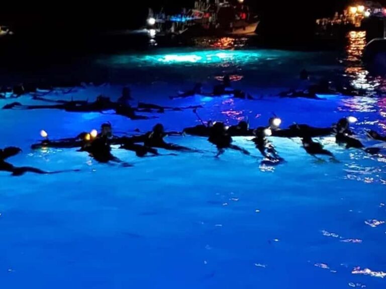 Kona: Manta Ray Night Snorkel Adventure - What to Expect from the Kona Manta Ray Night Snorkel