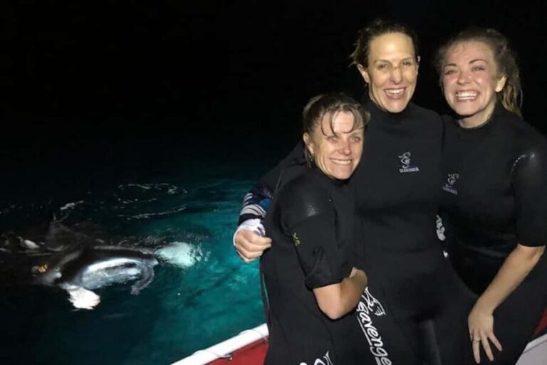 Kona Manta Ray Night Snorkel (Manta Guarantee Policy) - The Highlights That Make It Stand Out