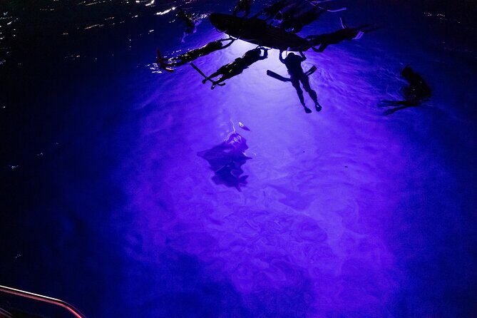 Kona Night Manta Snorkel Tour - Starting Point and Logistics