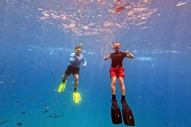 Kona Snorkeling Adventure Open Charter - FAQs