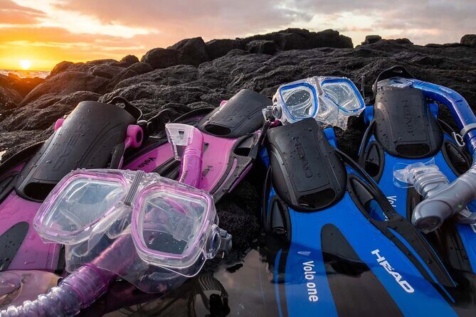 Kona Snorkeling Gear Rental Dive Into Adventure - What Makes the Gear and Service Stand Out