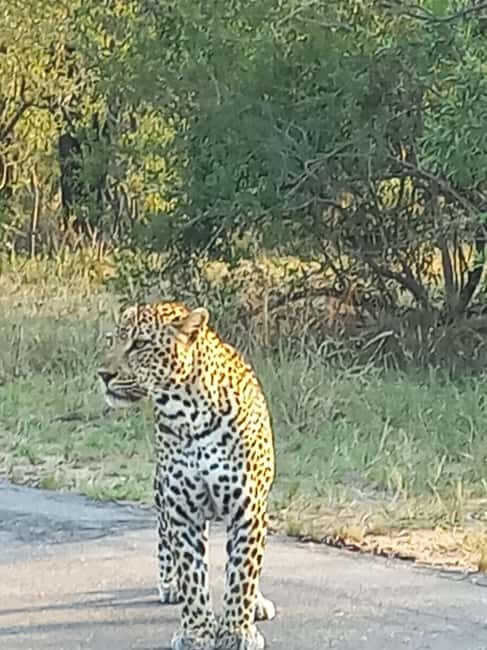 Kruger National Park: 10-Day Northern to Southern Tour - The Value of the Tour Price