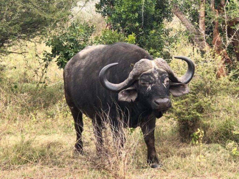 Kruger National Park, - The Itinerary Breakdown and What You’ll Experience