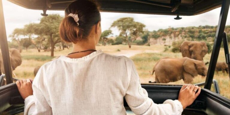 Kruger Park Scheduled Full day Safari Drive from Hoedspruit - Key Points