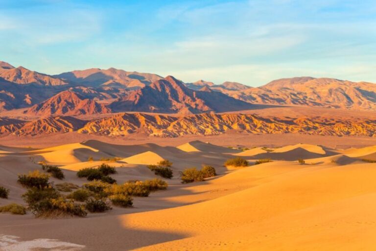 LA: 2-Day Las Vegas Tour with Hoover Dam & Accommodation - The Value and Cost