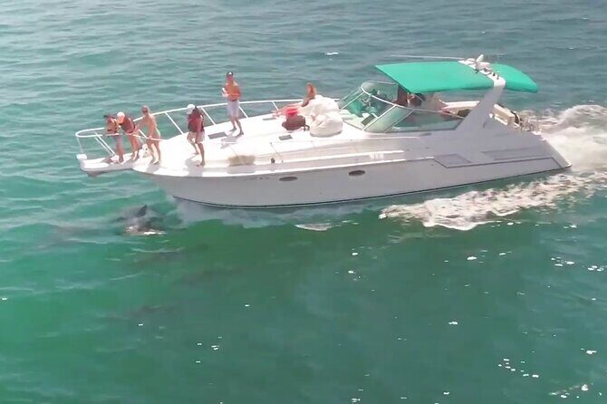 LA: Birthday Special Private Yacht (1 ticket covers 1-6 people) - Authentic Perspectives: What Travelers Say