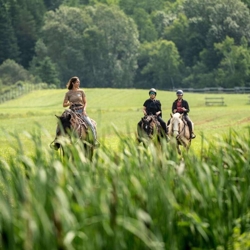 La Bleuetière: A charming introduction to horseback riding - What to expect during the tour