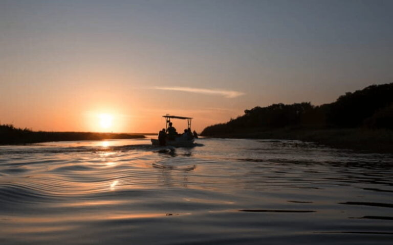 La Crucecita: Magic Lagoon Bioluminescence and Turtles Tour - Genuine Value and Traveler Perspective