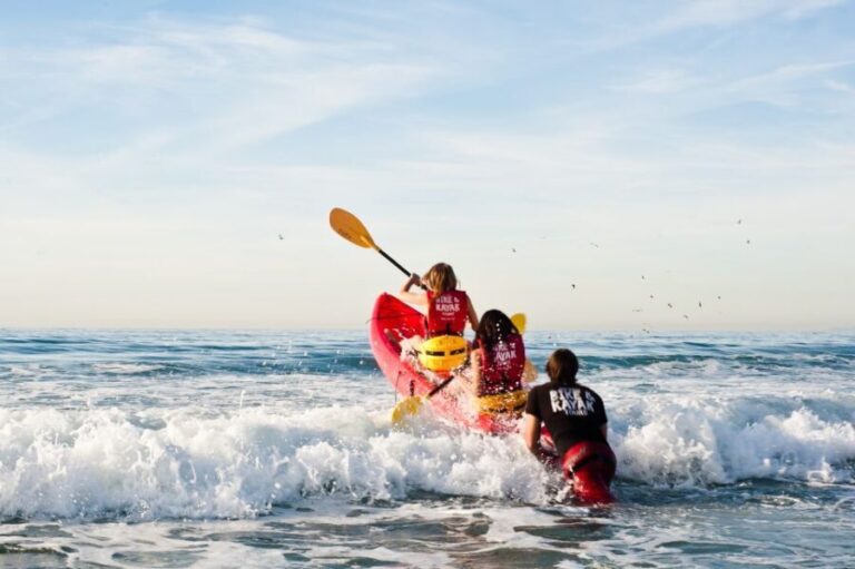 La Jolla: 2-Hour Kayak Tour of the 7 Caves - Who This Tour is Best For