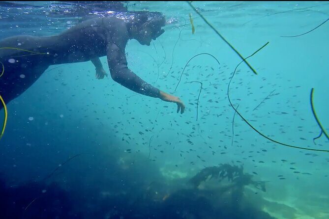 La Jolla Kayak and Snorkel Tour - The Bottom Line: Is It Worth It?