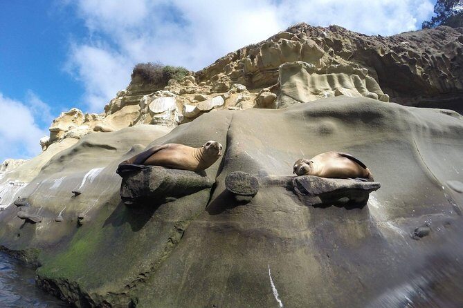 La Jolla Sea Caves Kayak Tour For Two (Tandem Kayak) - Practical Tips for Your Kayaking Trip