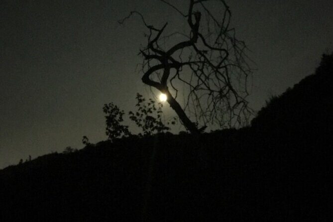 LA Night Hikers - Final Thoughts: Who Should Consider This Tour?