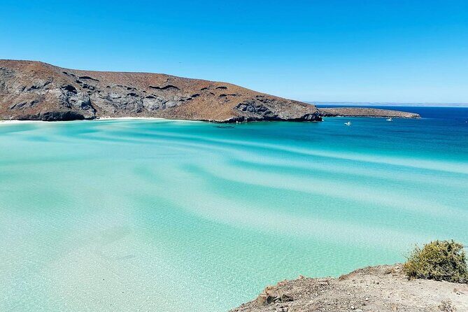 La Paz, Balandra and Todos Santos from CABO and San Jose - Final Thoughts: Is This Tour Right for You?