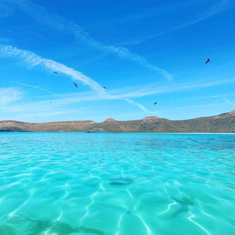 La Paz: Espiritu Santo Island Tour - An In-Depth Look at the Tour Experience