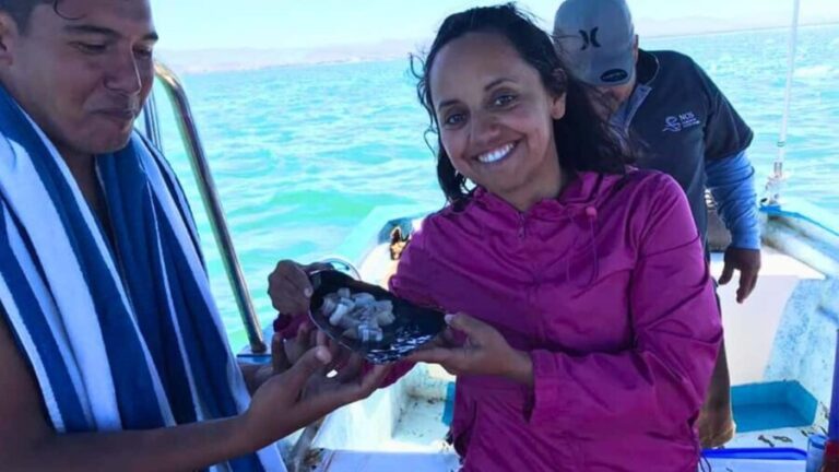 La Paz: Mangrove Adventure, Snorkeling and Shellfish Tasting - Snorkeling in Ensenada de Iris