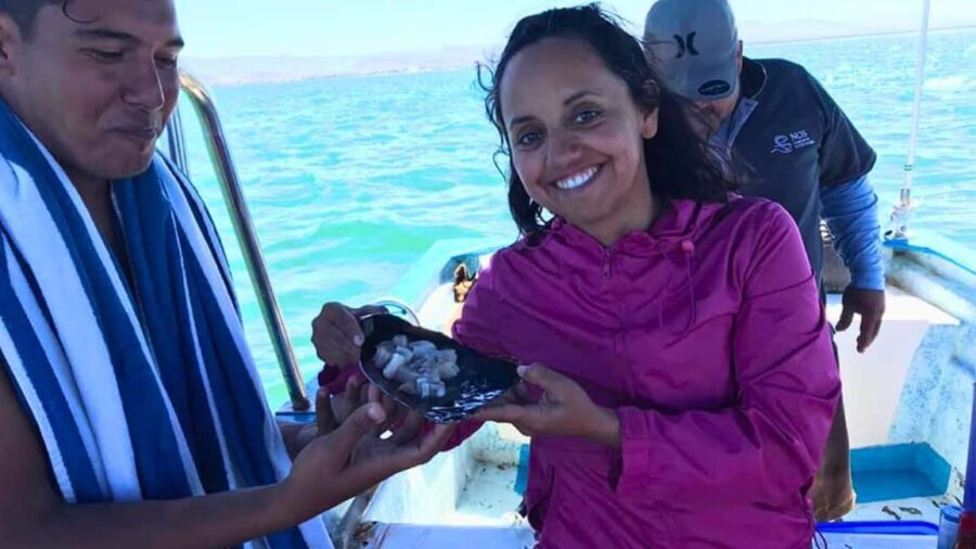 La Paz: Mangrove Adventure, Snorkeling and Shellfish Tasting - Snorkeling in Ensenada de Iris