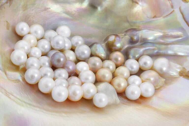 La Paz: Pearl Farm Experience and shop - What You Can Expect from the Tour