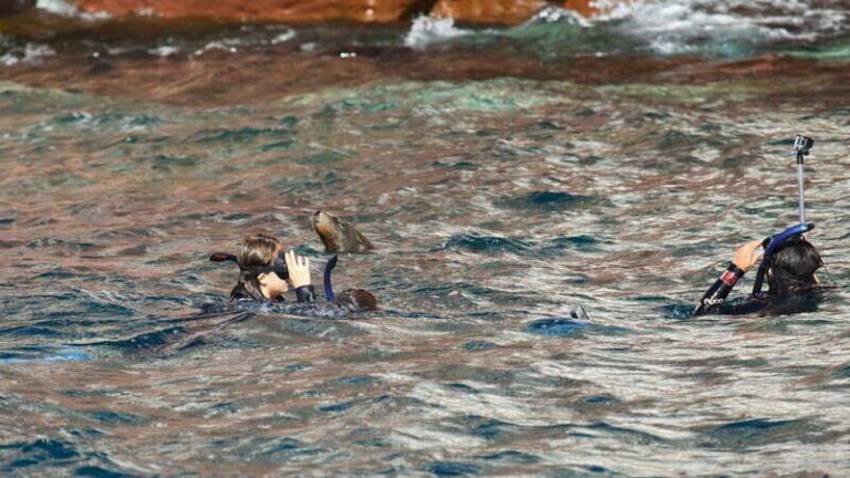 La Paz: Sea Lions & Mega-Paddleboard Tour in Espiritu Santo - Wildlife and Natural Highlights