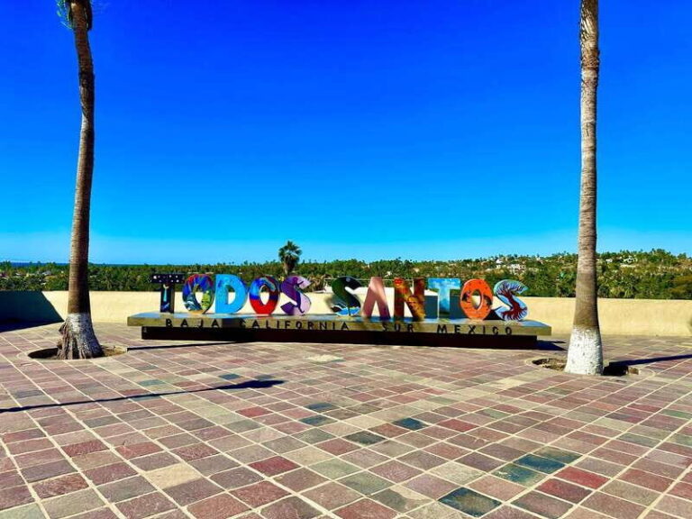 La Paz: Todos Santos Day Trip - Cultural Experience and Free Time
