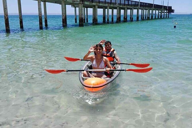 La Paz Transparent Kayaks & Paddle Boards - Final Thoughts: Who Should Book This?
