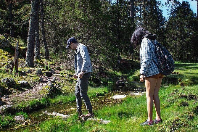 La Pirámide Park // WALK AND DISCOVER THE PARK - The Walk and What Youll See