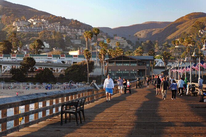 LA to Santa Monica & Malibu: Private Coastal Day Trip - Practical Details and What They Mean for You