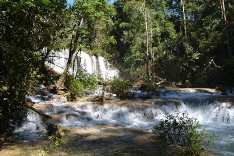 Lacandon Jungle Adventure and Bonampak Archaelogical Site - What Makes This Tour Stand Out?