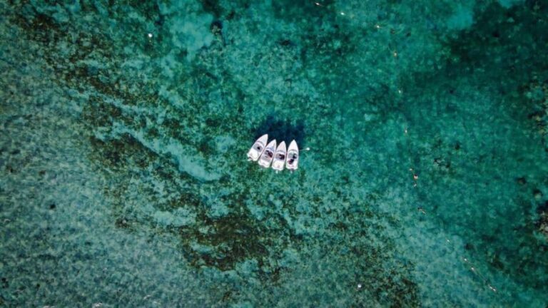 Lagoon ride and snorkeling - The Experience in Detail: Navigating Nichupte Lagoon