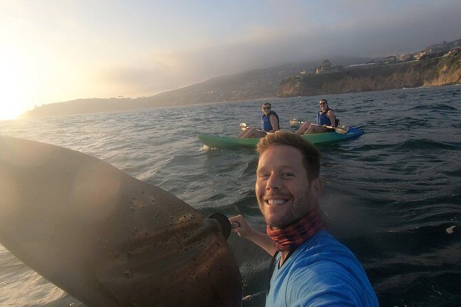 Laguna Beach Open Ocean Kayaking Tour with Sea Lion Sightings - What to Expect During the Tour