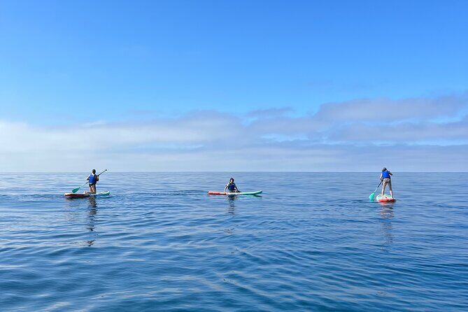 Laguna Beach Stand Up Paddle Activity - The Value of This Tour: Why It’s Worth It