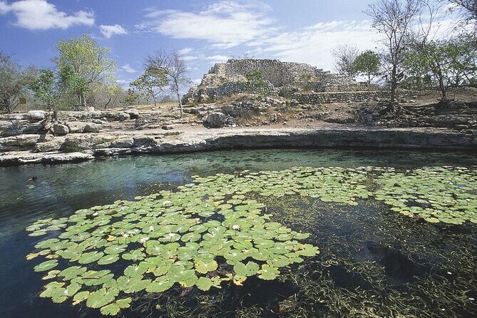 Laguna Kaan Luum & Cenotes - Who Should Consider This Tour?