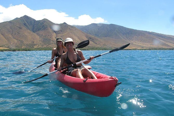 Lahaina Kayak and Snorkel Excursion - The Sum Up: Is This Tour Right for You?