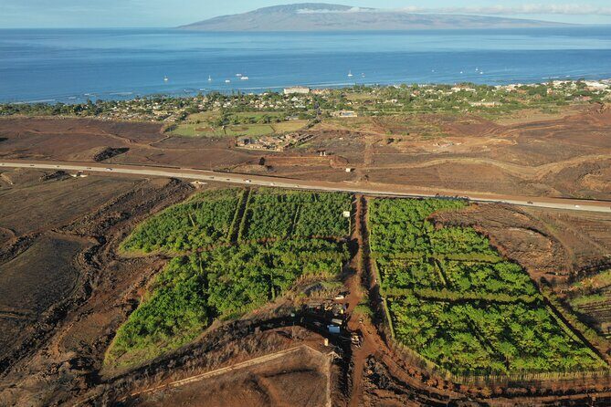 Lahaina: Maui Ku'ia Estate Guided Cacao Farm Tour and Tasting - Analyzing the Value