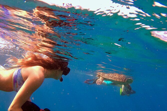 Lahaina Small Group Snorkeling Adventure - The Sum Up
