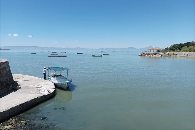 Lake Chapala Tour: Mezcala Island & Ajijic with a Local Expert - Who Will Love This Tour?