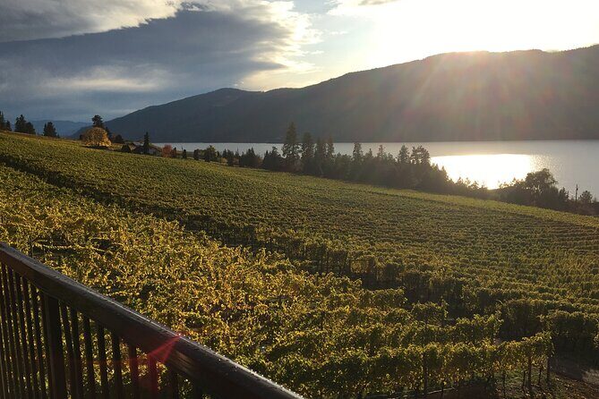Lake Country 5Hour 5 Winery Tour - Practicalities and Considerations