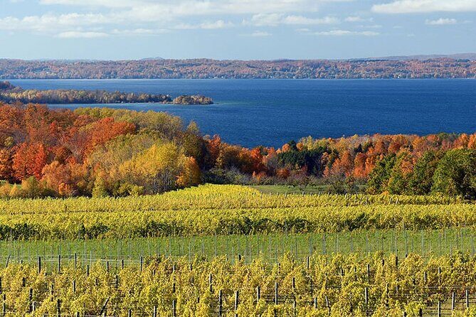 Lake Leelanau 4 Hour Tour - Who Will Love This Tour?