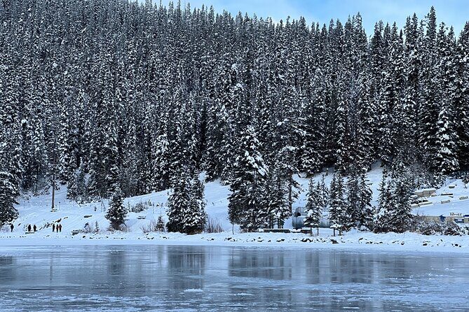Lake Louise, Moraine Lake, Peyto Lake, Crowfoot Tour from Calgary - The Itinerary Breakdown