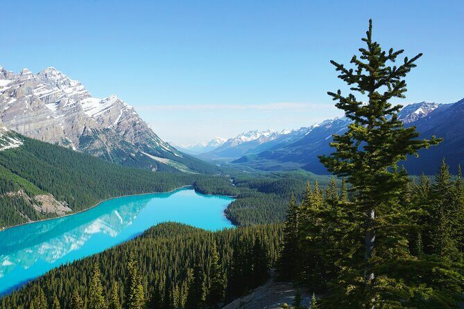 Lake Louise Moraine Lake Peyto Lake Icefield Parkway Day Trip - The Sum Up