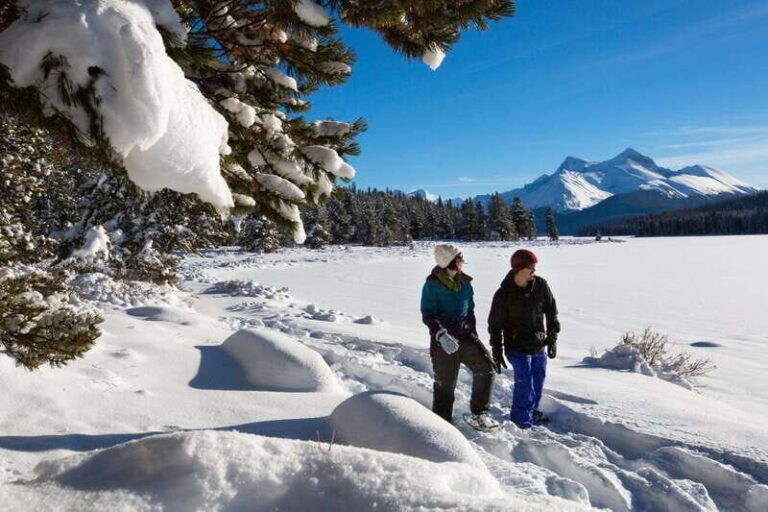 Lake Louise, Peyto Lake, Johnston Canyon & Icefields Parkway - What You Can Expect: Logistics and Experience