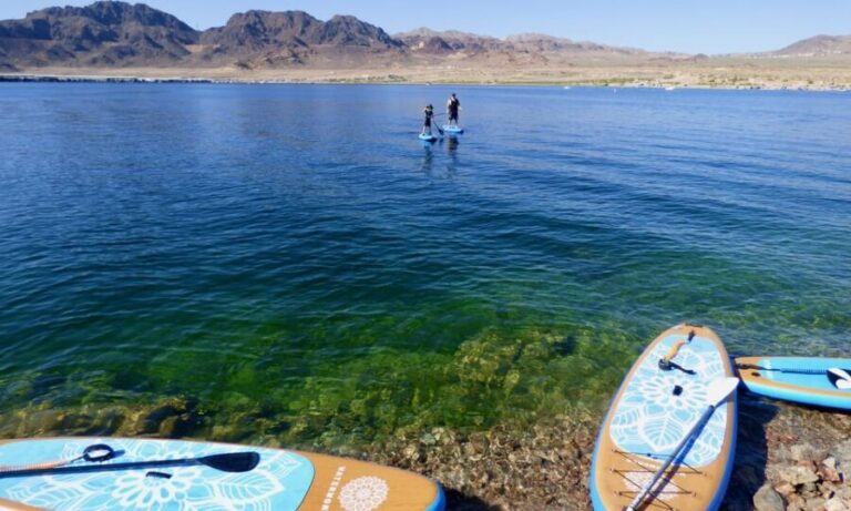 Lake Mead Paddle Board Tour (Private) - What Makes This Tour Stand Out?