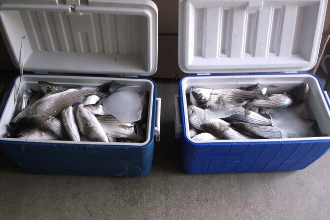 Lake Mead Striped Bass Fishing Getaway - The Value of the Experience