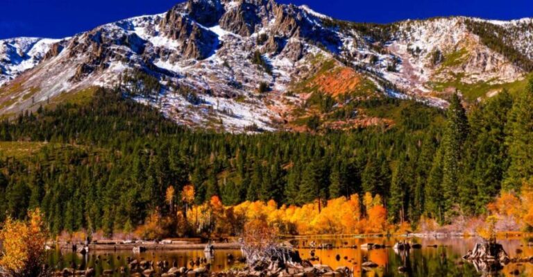 Lake Tahoe: Half-Day Photographic Scenic Tour - What Makes This Tour Stand Out?