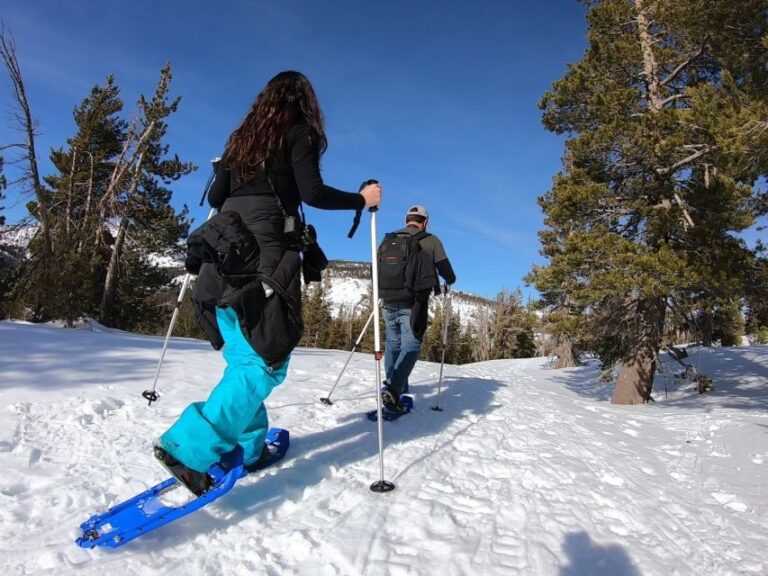 Lake Tahoe: Snowshoeing Guided Tour - Why It Matters for Travelers