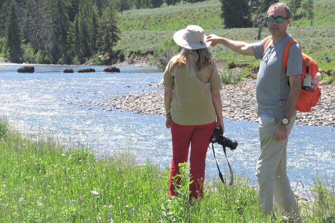 Lamar Valley Safari Hiking Tour with Lunch - Who Will Love This Tour?