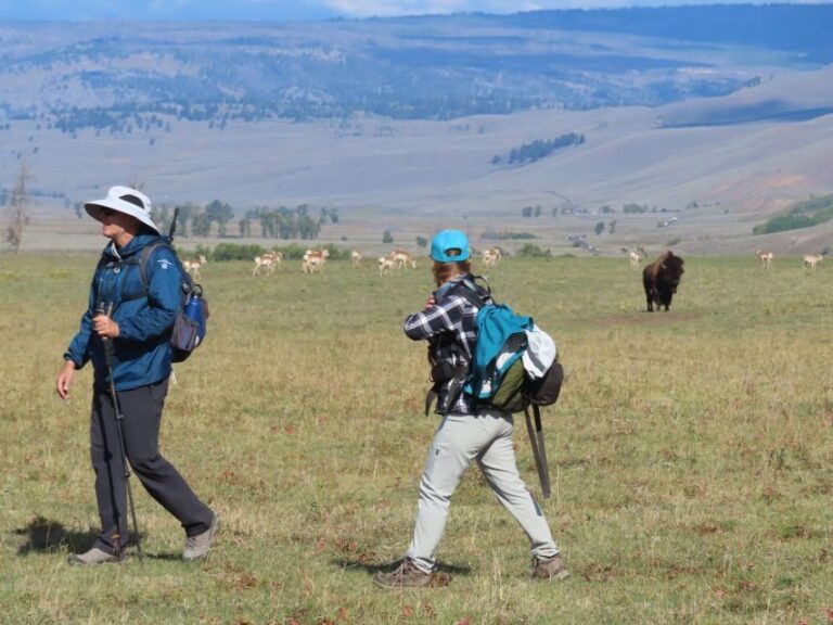 Lamar Valley: Safari Hiking Tour with Lunch - The Details That Matter