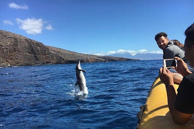 Lanai Deluxe Dolphin Adventure & 3 Snorkel Sites - Marine Encounters: Why They Matter